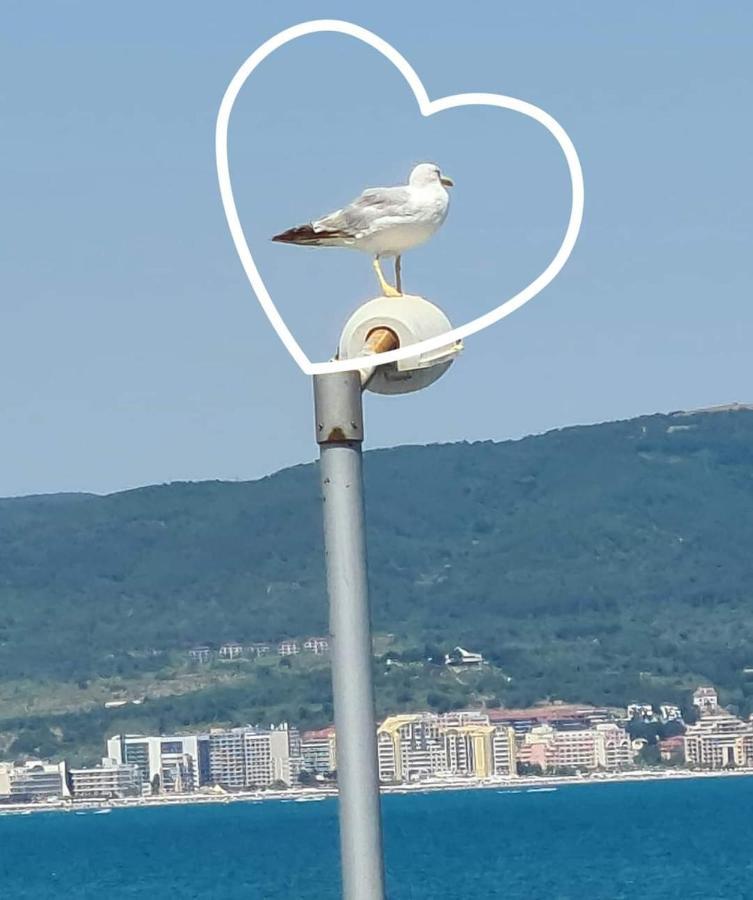 Sea View Private Studio Paradiso B 508 Nesebar Eksteriør bilde